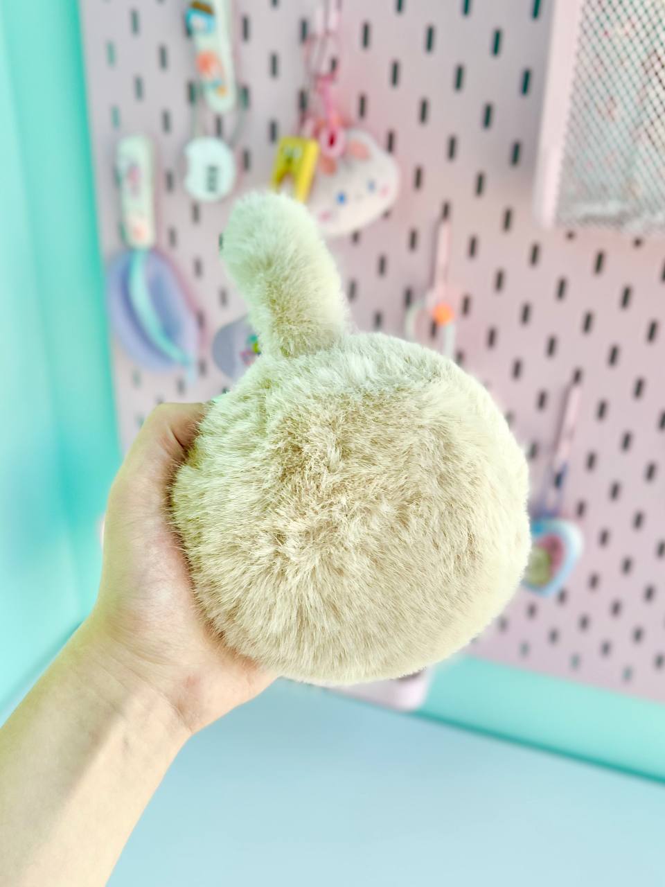 گوش گیر پشمالو